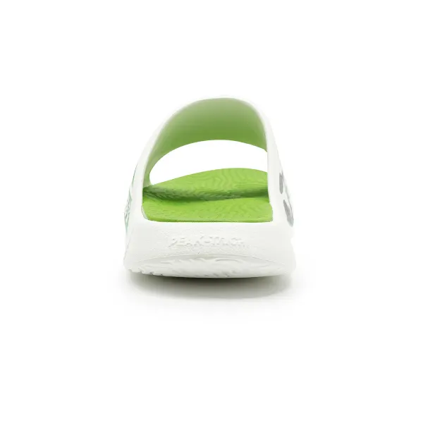 Miniature 5